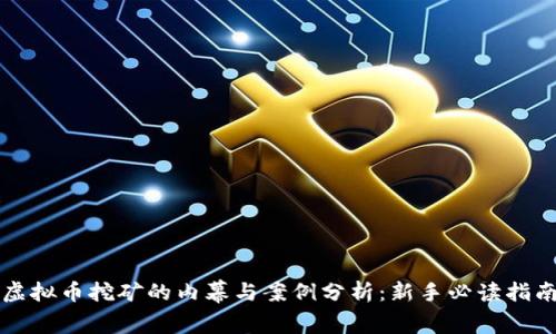 虚拟币挖矿的内幕与案例分析：新手必读指南