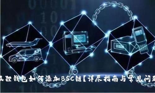 : 小狐狸钱包如何添加BSC链？详尽指南与常见问题解答