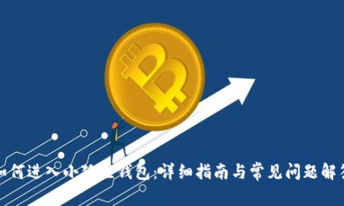 如何进入小狐狸钱包:详细指南与常见问题解答