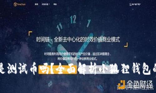 小狐狸钱包是测试币吗?全面解析小狐狸钱包的功能与应用