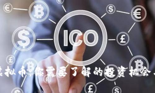 沙币虚拟币:你需要了解的投资机会与风险