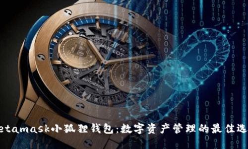 Metamask小狐狸钱包:数字资产管理的最佳选择