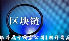虚拟币软件属于哪家公司