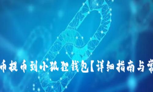 如何将币安币提币到小狐狸钱包?详细指南与常见问题解答