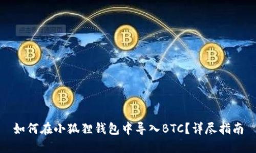 如何在小狐狸钱包中导入BTC?详尽指南