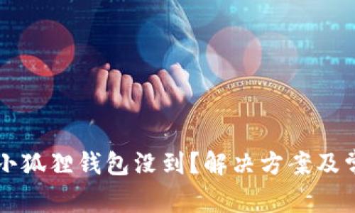 中本聪提币小狐狸钱包没到?解决方案及常见问题解答
