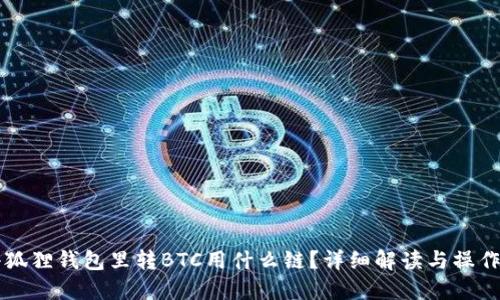 往小狐狸钱包里转BTC用什么链？详细解读与操作指南