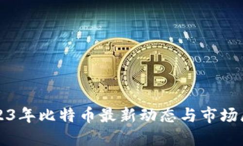 2023年比特币最新动态与市场展望