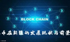 虚拟币在新疆的发展现状