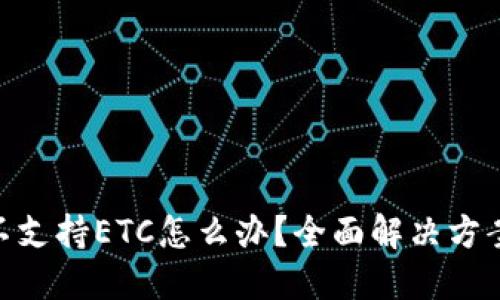 MetaMask不支持ETC怎么办？全面解决方案与使用指南