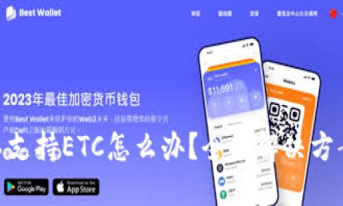 MetaMask不支持ETC怎么办？全面解决方案与使用指南