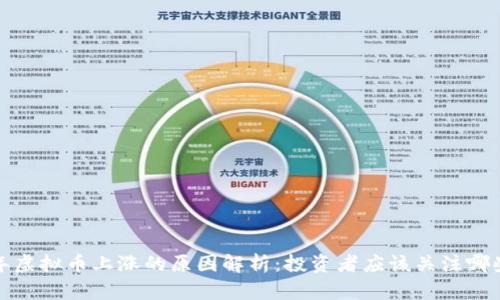 2023年虚拟币上涨的原因解析:投资者应该关注哪些因素?