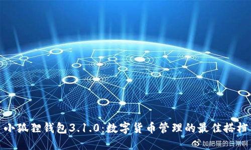 小狐狸钱包3.1.0：数字货币管理的最佳搭档