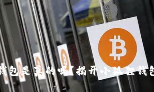 小狐狸钱包是真的吗?揭开小狐狸钱包的真相