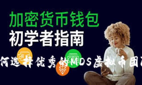 如何选择优秀的MDS虚拟币团队?