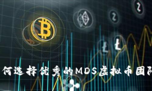 如何选择优秀的MDS虚拟币团队?