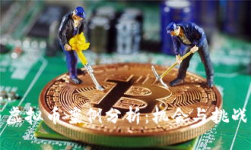江西虚拟币案例分析:机会与挑战并存
