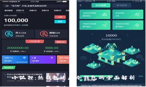 小狐狸:热钱包还是冷钱包的全面解析