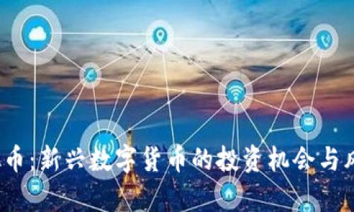 WH虚拟币：新兴数字货币的投资机会与风险分析