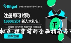 : lNs虚拟币：投资前的全面