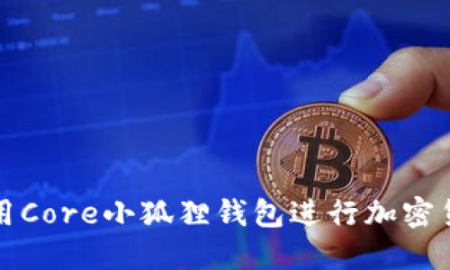 如何使用Core小狐狸钱包进行加密货币管理
