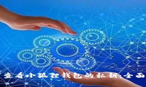 如何查看小狐狸钱包的私钥:全面指南