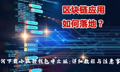 如何下载小狐狸钱包中文版:详细教程与注意事项