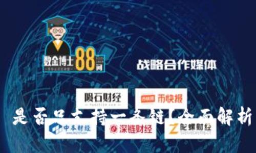 MetaMask 是否只支持一条链?全面解析与使用指南