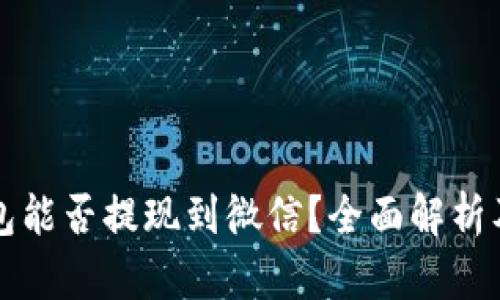 小狐狸钱包能否提现到微信?全面解析及使用指南
