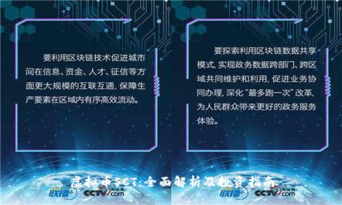 虚拟币SCT:全面解析及投资指南