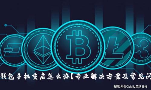 小狐狸钱包手机重启怎么办?专业解决方案及常见问题解析