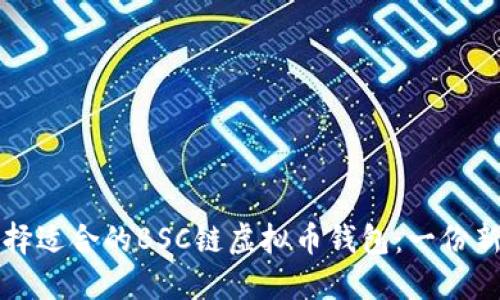 如何选择适合的BSC链虚拟币钱包：一份新手指南