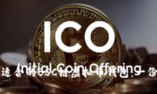 如何选择适合的BSC链虚拟币钱包：一份新手指南