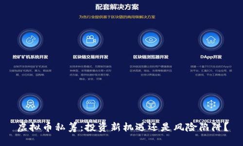 虚拟币私筹:投资新机遇还是风险陷阱?