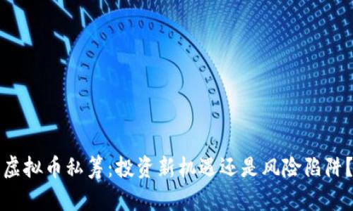 虚拟币私筹:投资新机遇还是风险陷阱?
