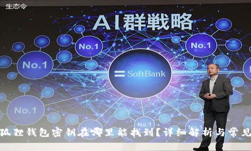 : 小狐狸钱包密钥在哪里能找到？详细解析与常见问题