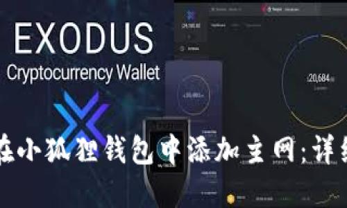 如何在小狐狸钱包中添加主网:详细指南
