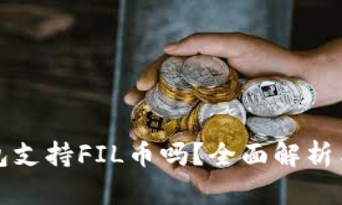 小狐狸钱包支持FIL币吗?全面解析与使用指南