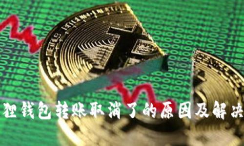 小狐狸钱包转账取消了的原因及解决方案