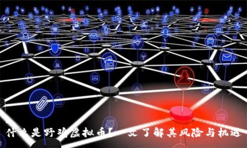 :
什么是野鸡虚拟币?一文了解其风险与机遇