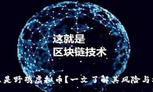 :
什么是野鸡虚拟币?一文了解其风险与机遇