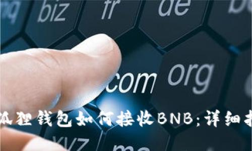小狐狸钱包如何接收BNB:详细指南