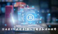 什么是BTE比特币？深入了