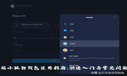 电脑端小狐狸钱包使用指南:快速入门与常见问题解答