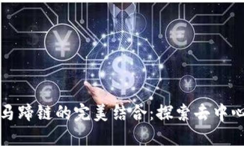 小狐狸钱包与马蹄链的完美结合:探索去中心化钱包的未来