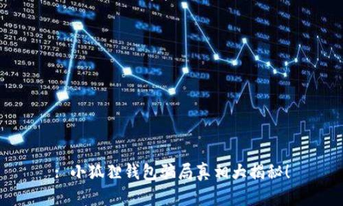 : 小狐狸钱包骗局真相大揭秘！