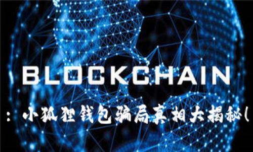 : 小狐狸钱包骗局真相大揭秘！