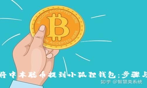 如何将中本聪币提到小狐狸钱包:步骤与技巧