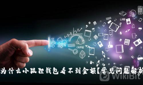 为什么小狐狸钱包看不到金额?常见问题解析