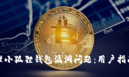 如何处理小狐狸钱包漏洞问题:用户指南与建议